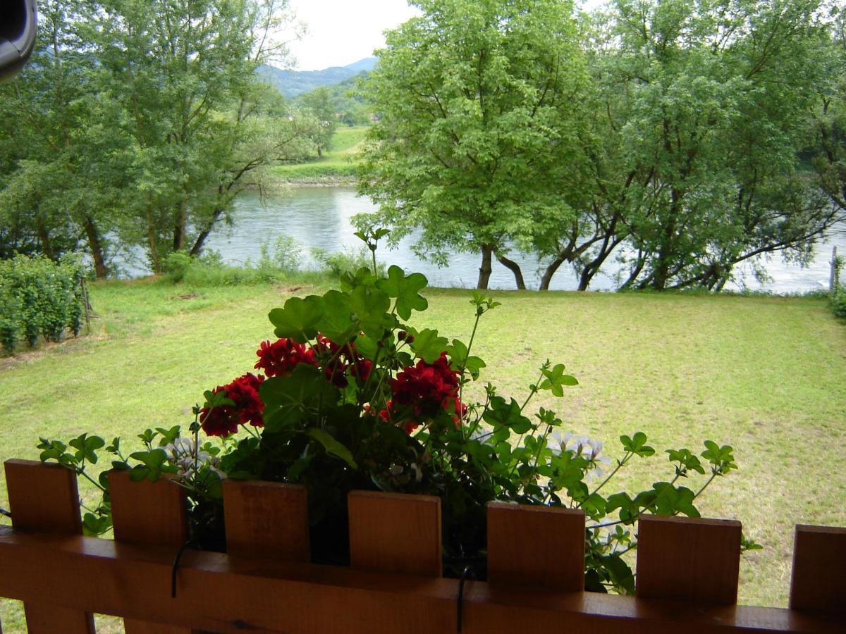 Drinska Tisina Villa Ljubovija Bagian luar foto